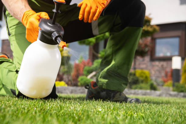 Best Mosquito Control Services  in Liberty, PA