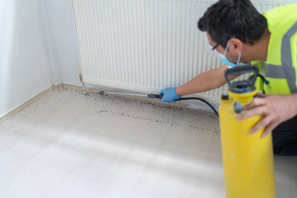 Best Ant Control Services  in Liberty, PA